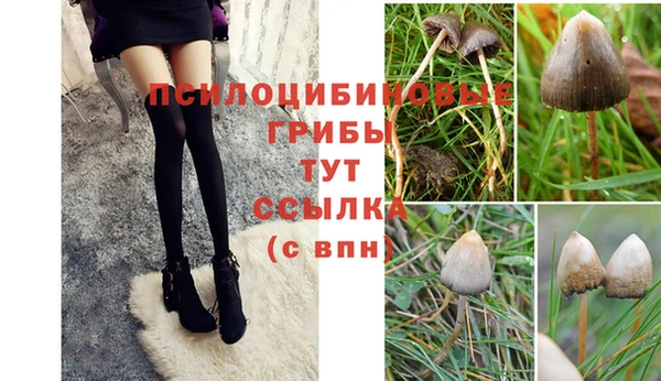 кокаин Осташков